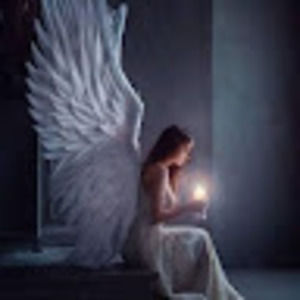 Meet your Posher, Harriett